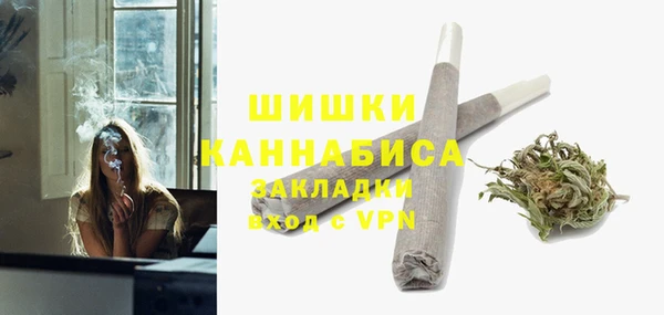 стафф Аркадак
