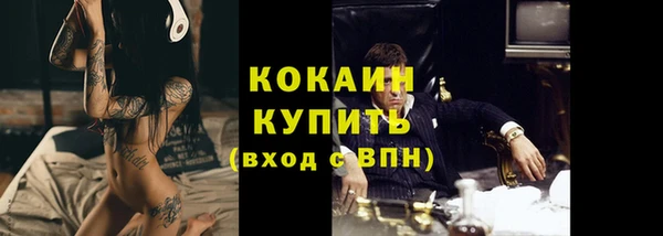 стафф Аркадак