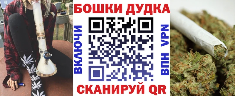 где купить наркоту  Судак  Канабис сатива 